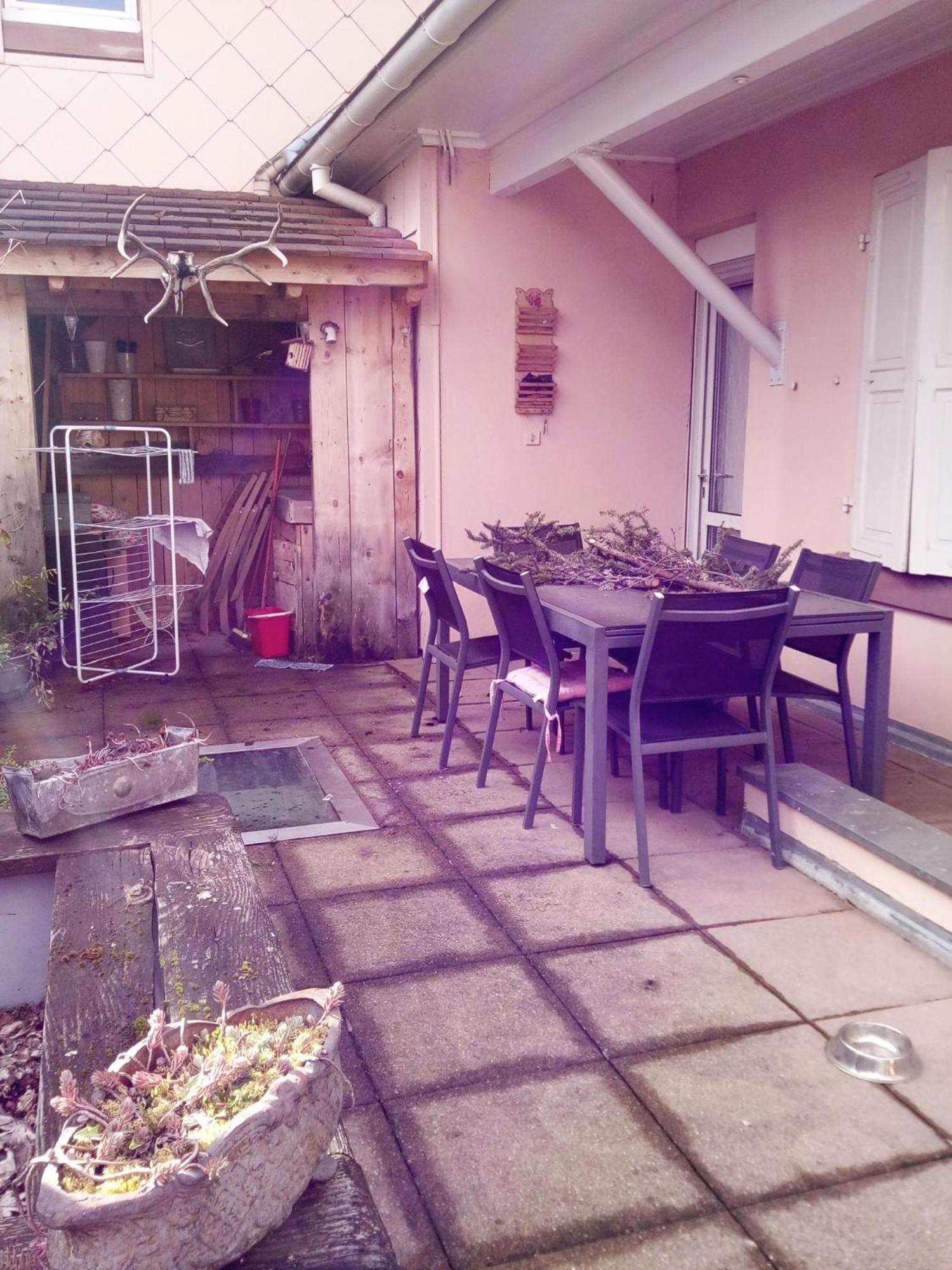"Cote Nature", Appartement Cosy Au Coeur De Munster Munster  Esterno foto