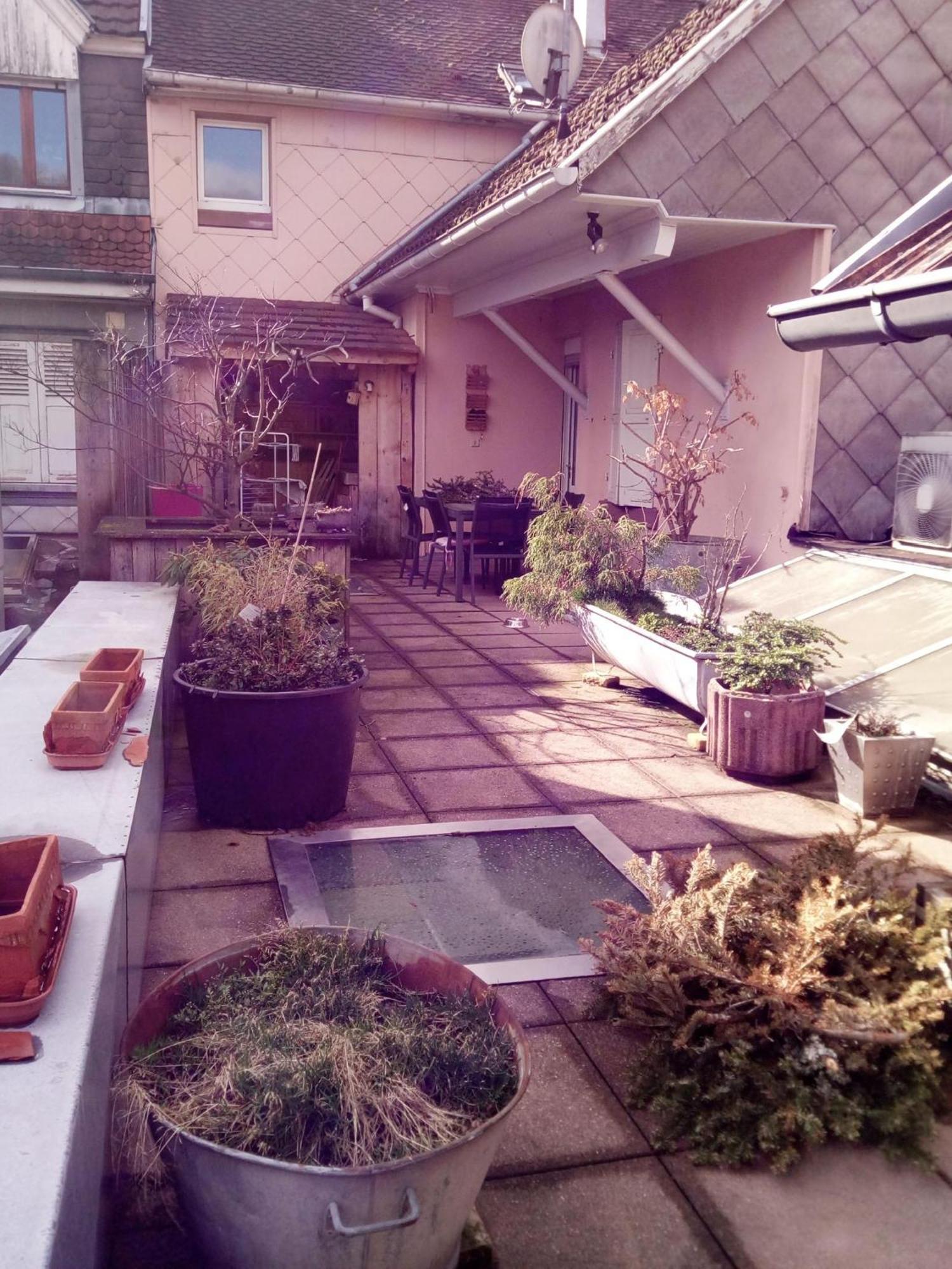"Cote Nature", Appartement Cosy Au Coeur De Munster Munster  Esterno foto