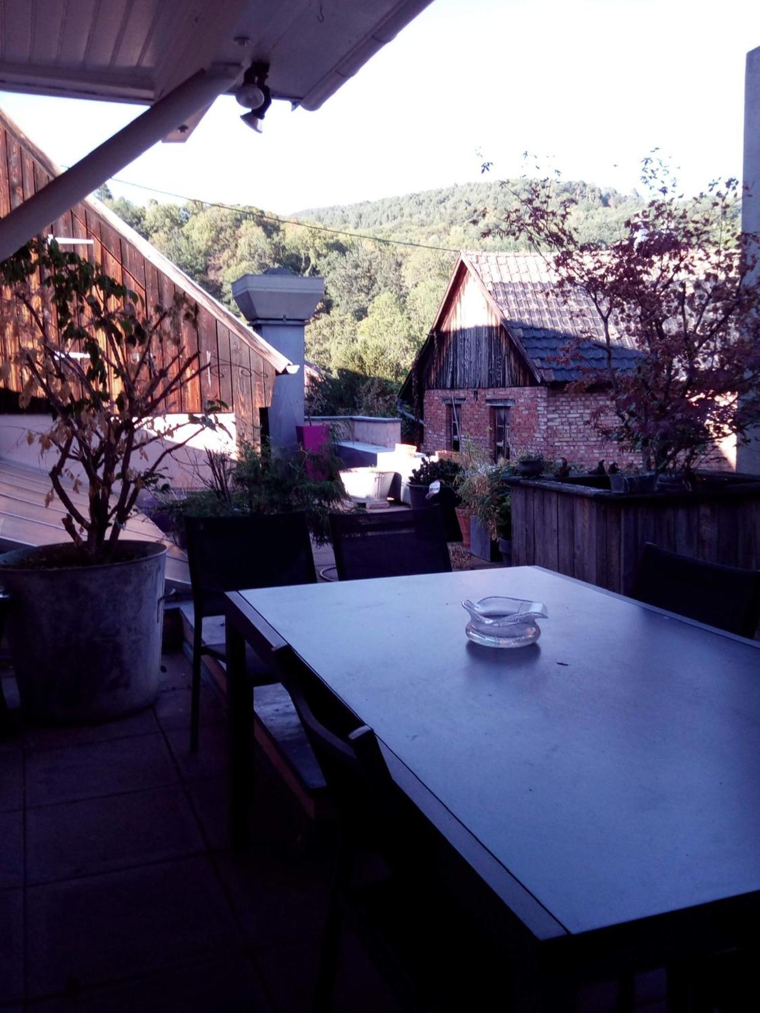 "Cote Nature", Appartement Cosy Au Coeur De Munster Munster  Esterno foto