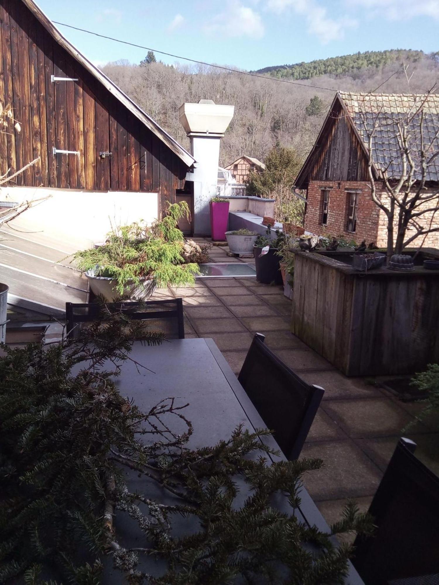 "Cote Nature", Appartement Cosy Au Coeur De Munster Munster  Esterno foto